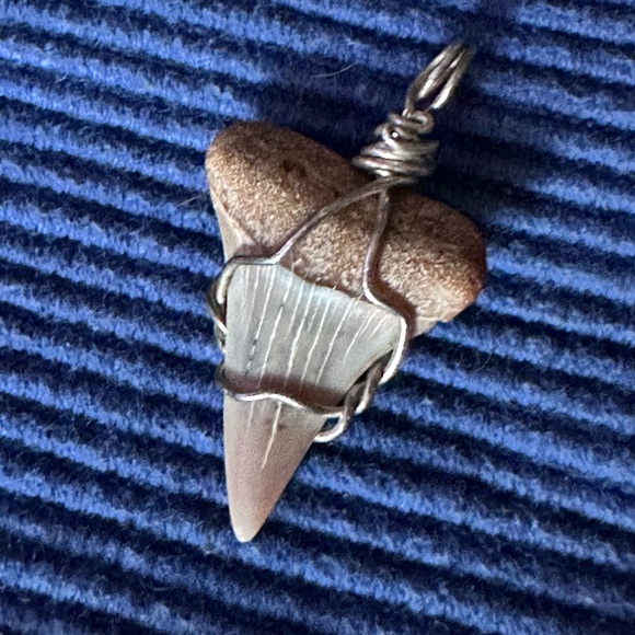 Great White Shark’s Tooth in .925 silver - Picture 5 of 6